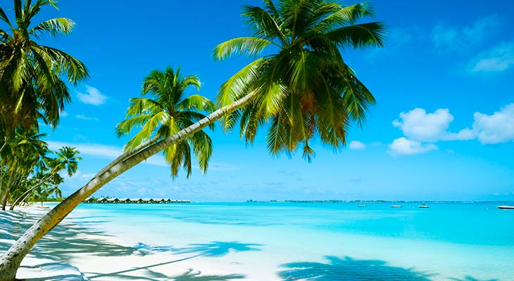 Bahamas
